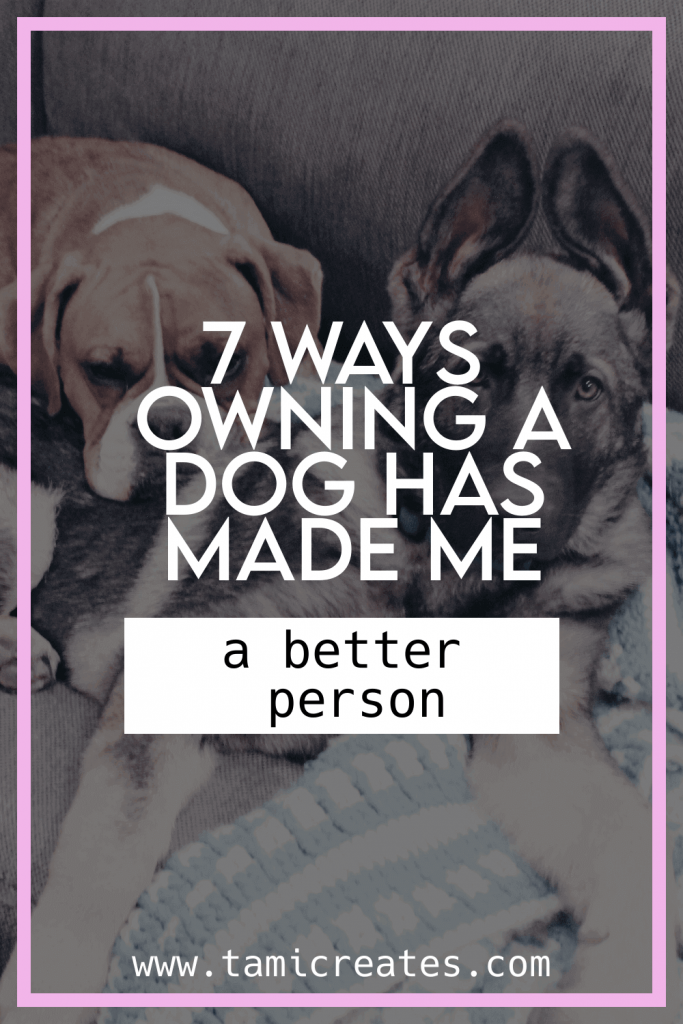 Here are 7 ways that owning a dog has made me a better person, and could maybe make you a better person too!